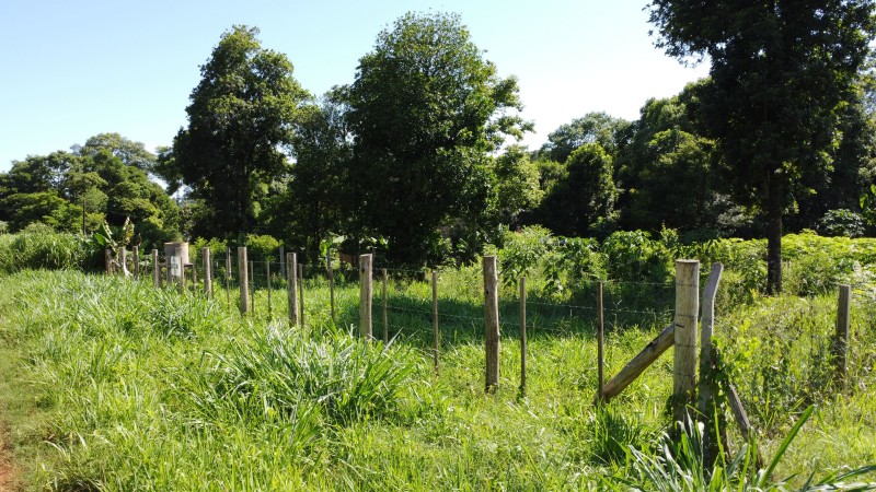 Terrenos en barrio Jossi
